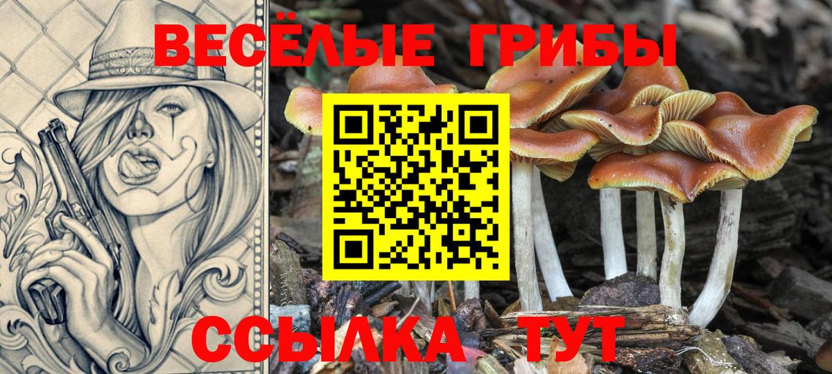 Галлюциногенные грибы прущие грибы  Вход с VPN  Черногорск 