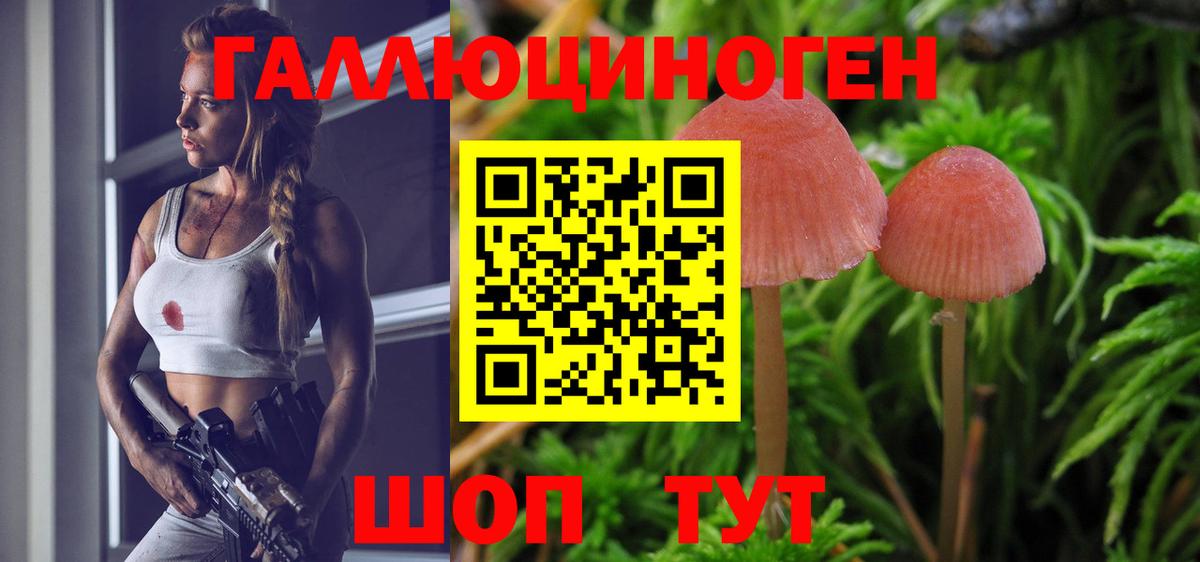 Псилоцибиновые грибы мухоморы Черногорск